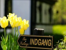 The Cottage