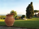 Fattoria degli Usignoli