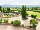 Fattoria degli Usignoli