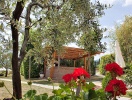 Hotel Villa Cappugi