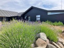 GuestHouse Læsø
