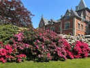 Thorskogs Slott