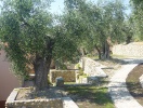 Villaggio Borgo Verde