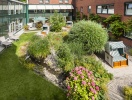 Hotel Birke