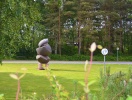 Kysthotellet