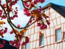Hotel Reiler Hof er indrettet i to af Reils gamle bindingsværkshuse, der er 300 år gamle