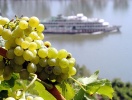 I skal også se frem til at tage en sejltur mellem vinterrasserne langs Mosel
