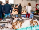 Skagens fiskaffärer bjuder på spännande utställningar av dagens fångst lagd på is