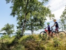 Du kan cykla över bron till Mors © Mette Johnsen