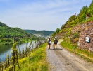 Vandrestierne er mangfoldige og kan tage jer gennem vinmarker, skovområder og eventyrlige dale omkring Mosel