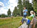 Der findes mange fine, markerede stier i Harzens naturidyl