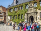 Quedlinburg rådhus från 1320 gömmer sig bakom rådhusvinets gröna löv under sommarmånederna