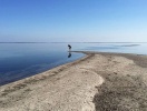 Strandparti på Femø - en af de idylliske ø-samfund i Smålandshavet, som man kan sejle til fra Lolland