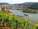 I Rüdesheim ligger borgen Ehrenfels, som tornar upp sig över Rhen