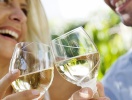 Hver lille vinby på vinruten har sit eget særkende og sin egen vin, I skal smage