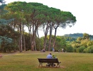Kurparken i Montecatini Terme är ett älskat rekreationsområde