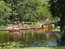 Bremen Bürgerpark är en oas mitt i staden