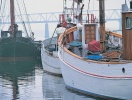 Hamnen i Middelfart där du också se de gamla fiskebåtarna lägga till