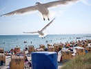 Sådan ser sommerstemning ud i Tyskland - strandstole skulder ved skulder langs kysten