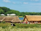 Schleswig-Holstein er også centrum for vikingehistorien ...