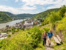 Det finns flera populära vandringsleder längs Mosel, du möter många som vill vara aktiva på sin semester