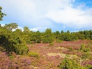 På den 118 km² stora ön skapar naturen en vacker semesterkuliss året runt