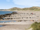Skagen er omgivet af hav, strand og brusende bølger, der indbyder til friske traveture