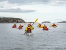 Om du vill ge dig ut på havet finns det lokala företag som arrangerar fisketurer, båtturer och mycket mer