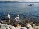 Comwell Roskilde ligger inte långt från den härliga Roskilde Fjord