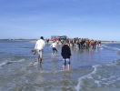 På Grenen i Skagen kan du stå med fötterna i varsitt hav, Kattegat och Skagerrak