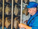 Prova en äkta lokal specialitet på en av Esbjerg eller Fanøs lunchrestauranger: Bakskuld eller ising