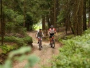 Bayerischer Wald har et stort netværk af afmærkede vandrestier og cykelruter i smuk natur
