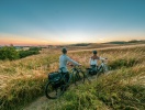 Der venter utallige naturpanoramaer på Falster her om sommeren