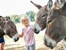Besøg Knuthenborg Safaripark, der er Nordeuropas største