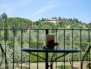 De grønne dale og bakker danner en smuk kulisse for jeres ferie i Toscana
