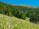 Pitztal i sydvästra Tyrolen liknar exakt de idylliska kulisser som du har sett på film, t.ex. i Sound of Music
