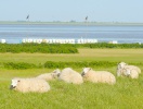 Det är aldrig långt till vattnet i Schleswig-Holstein