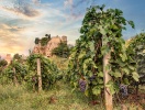 Toscana er også Italiens måske mest kendte vindistrikt