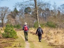 Der findes masser af afmærkede vandreruter på Læsø, som byder på lokale oplevelser