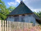 I er også havnet i et gammelt kulturlandskab på Lüneburger Heide, som ikke har forandret sig meget