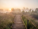 Lüneburger Heide byder på mere end 700 km afmærkede vandrestier i den smukkeste natur