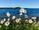 Under sommaren kan du bl.a. bada i den närliggande Linneasjön - eller köra ut till kusten