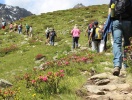 Följ med på en guidad vandringsutflykt i Vorarlberg där du får uppleva landskapet tillsammans med andra