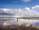 Vadehavskysten her er UNESCO-listet under navnet Nationalpark Niedersächsisches Wattenmeer