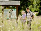 Nationalpark Harz byder på masser af gode vandremuligheder i unik natur
