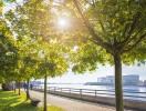 Upplev hamnstaden Vegesack (7 km) med hamnpromenad och museihamn med renoverade träskepp