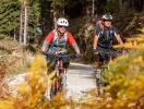 Du kan också hyra en MTB och ge dig ut i Wagrains sköna natur