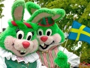 Hils på de grønne kaniner, som er Lisebergs populære maskotter