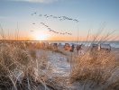 Välkommen till sol, sommar och sandstrand vid Östersjökusten där alla solstolar står sida vid sida