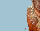Dramatisk natur og ensom beliggenhed - Helgoland er en seværdig udflugtsmulighed, når I besøger Büsum!